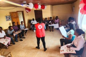Spanish Red Cross trains HAPI staff