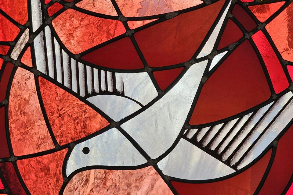 Dove in stained glass