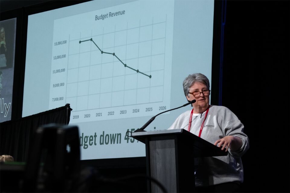 Woman giving a presentation on budget