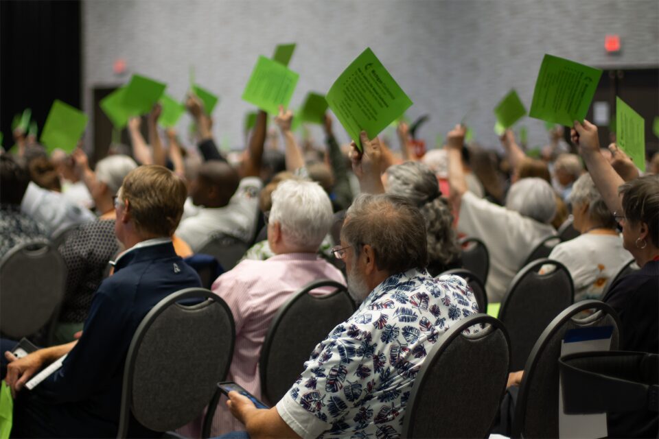 People voting on legislation