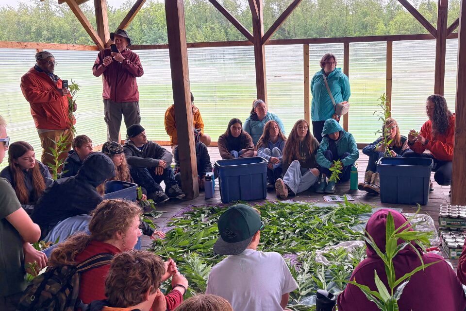 Team learn about agriculture