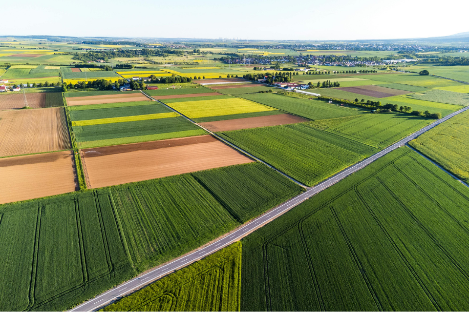 farmland