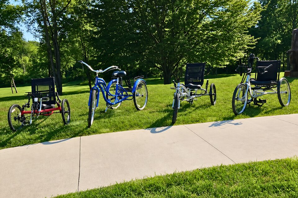 Specialty bikes