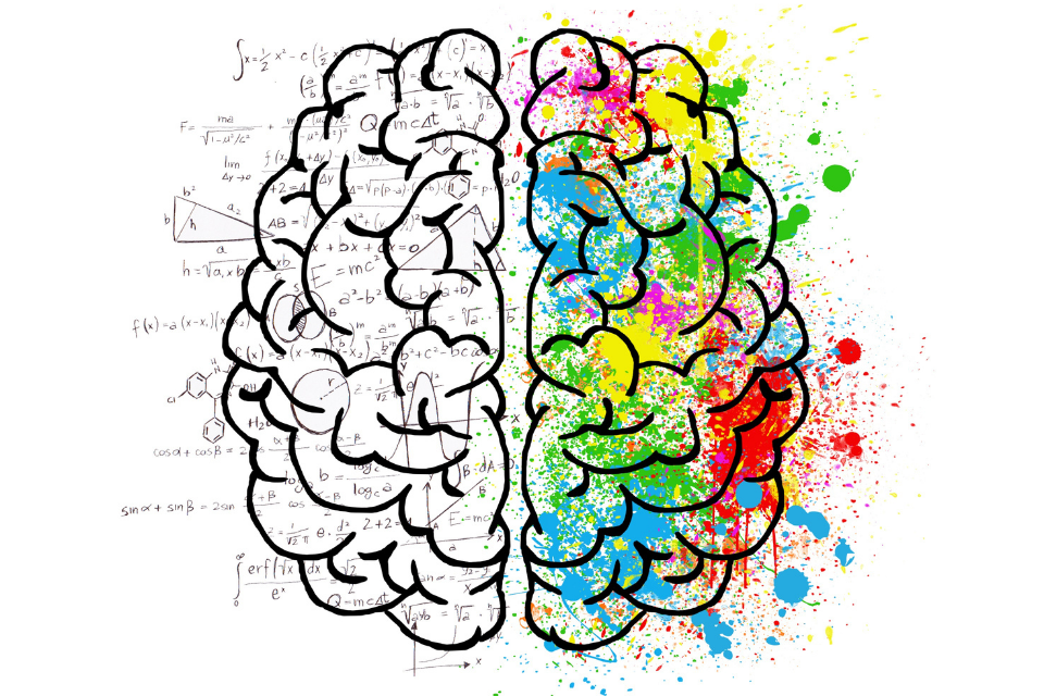 Brain parts