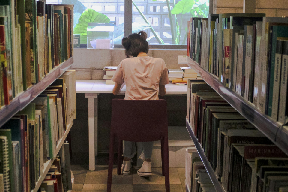 Young woman studying in a library