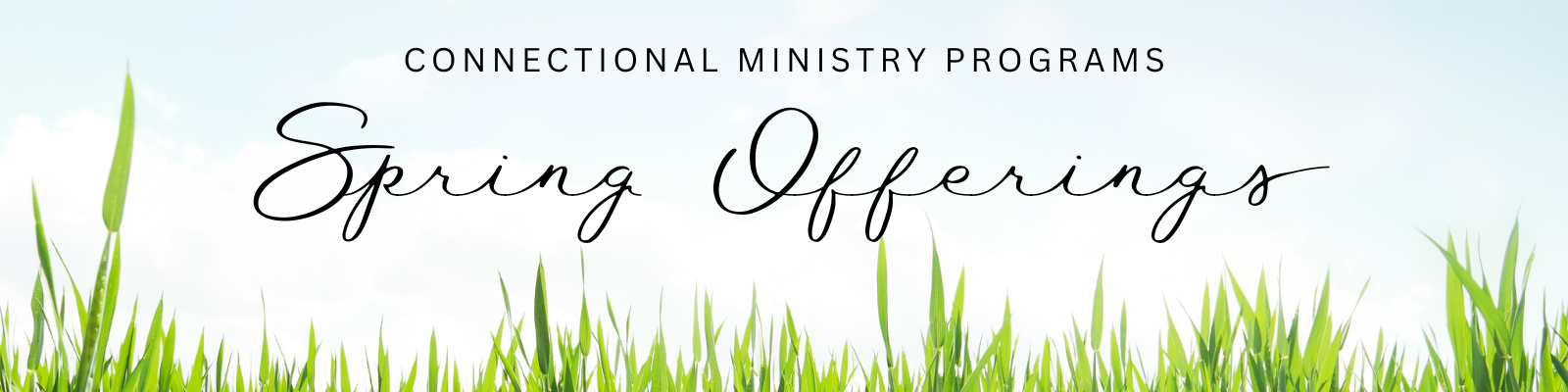 spring offerings